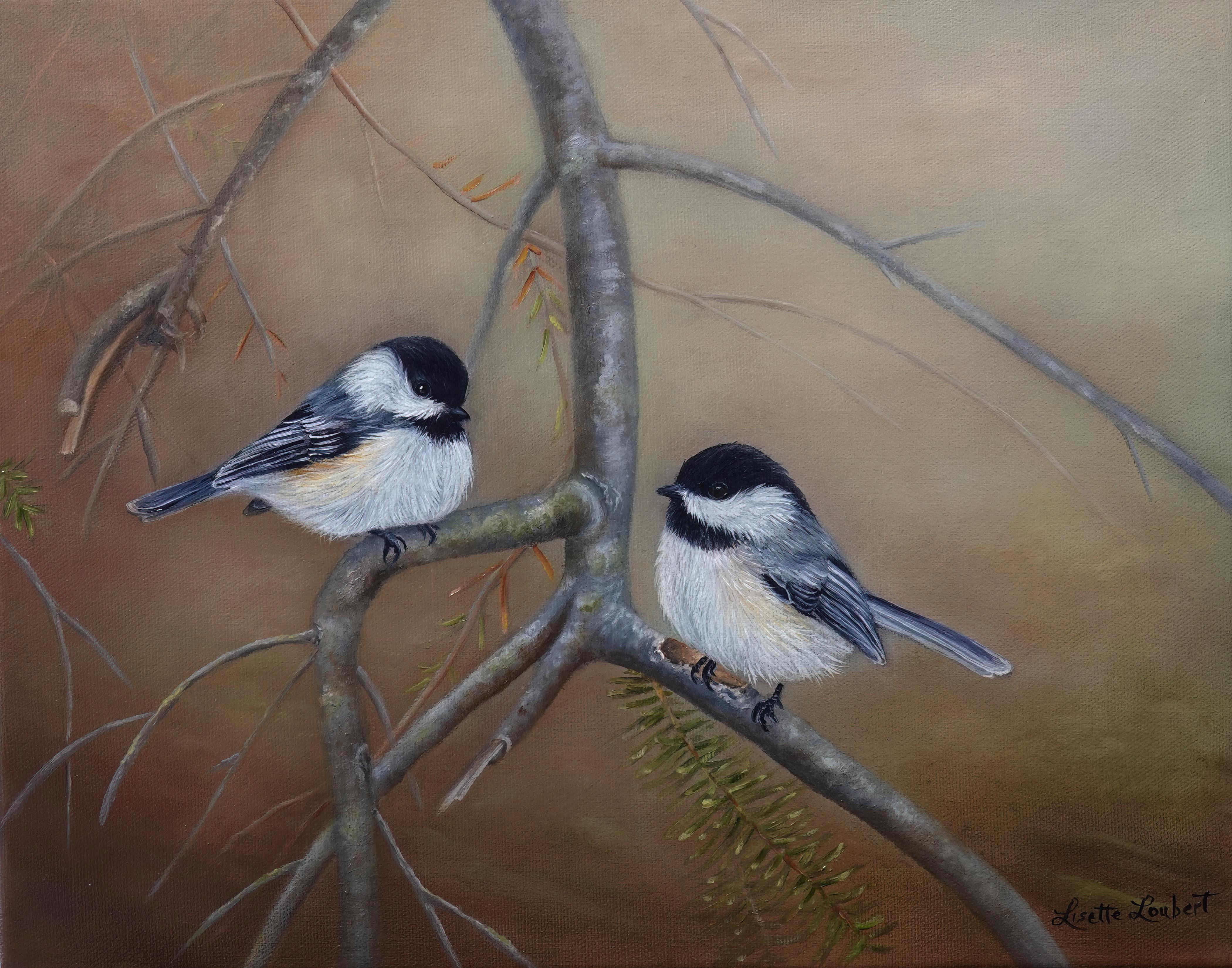 Mésanges  2024  11x14