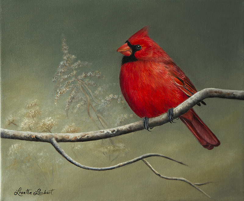 cardinal 10x12 2018 vendu