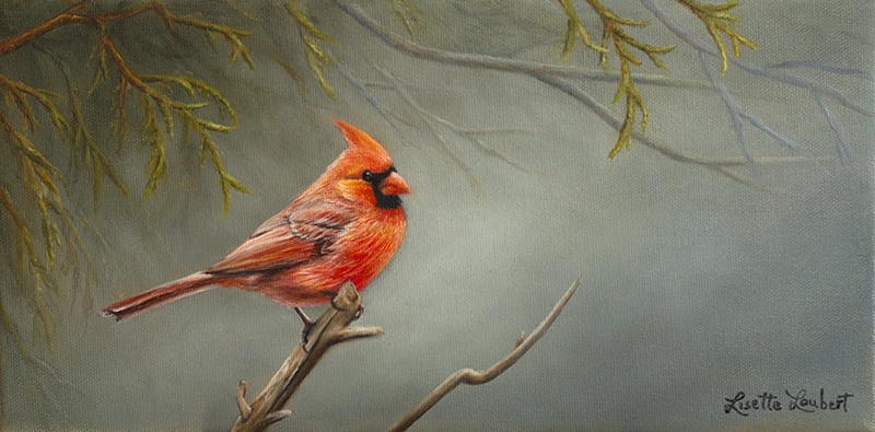 cardinal 6x12 2013