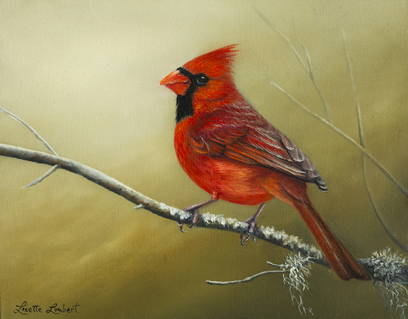 cardinal 8x10 2017 vendu