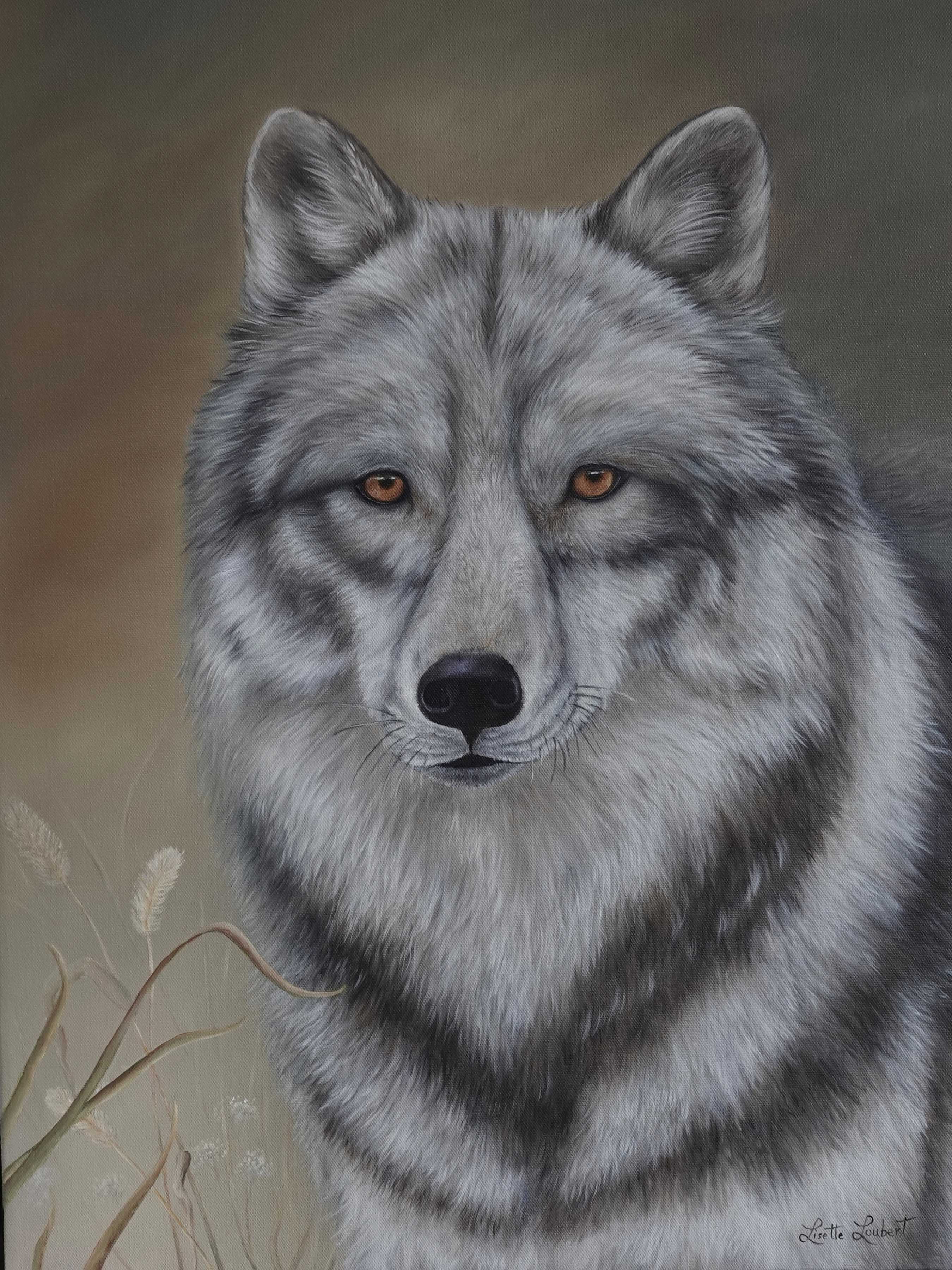 loup 24x18 2020