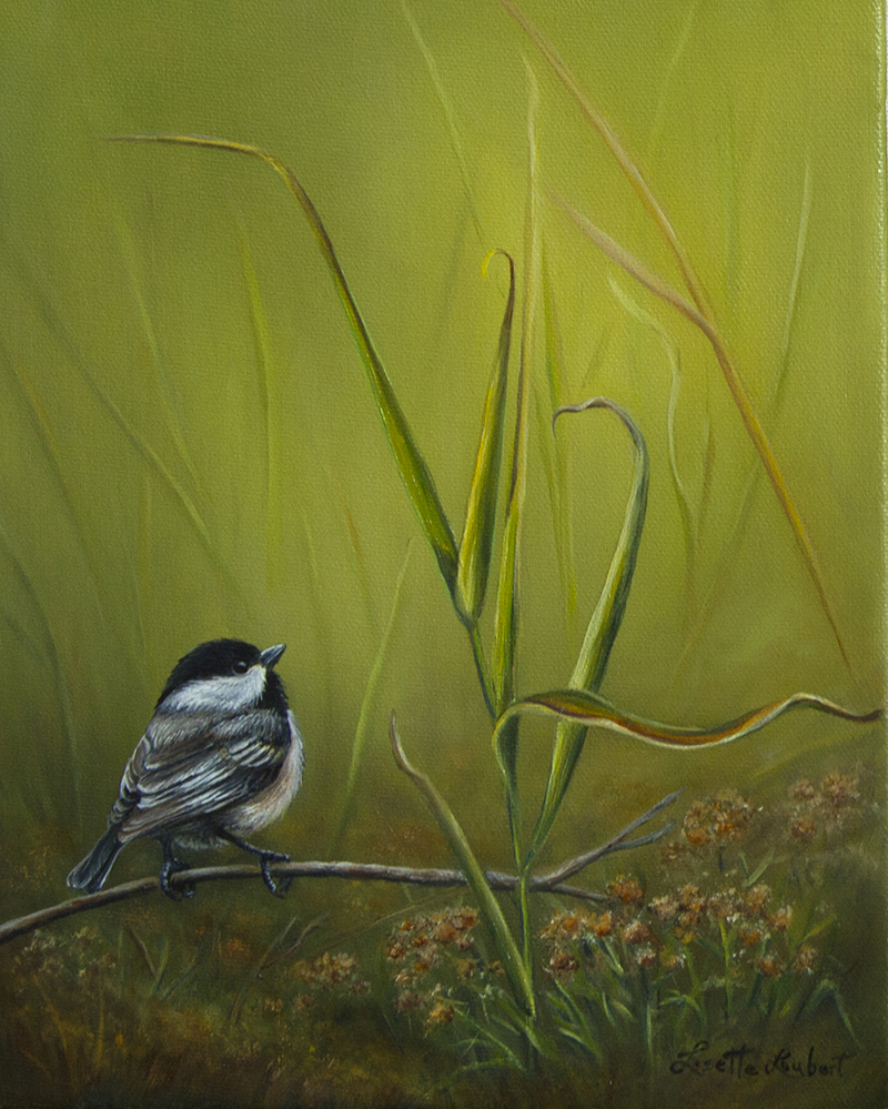 mésange 10x8  2015