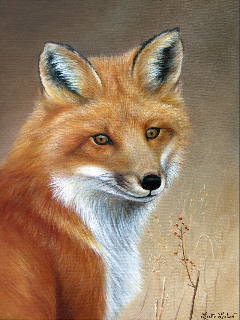 renard 16x12  2018  vendu